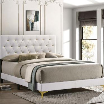 Kendall Tufted Upholstered Panel Queen Bed White - MartincFurniture